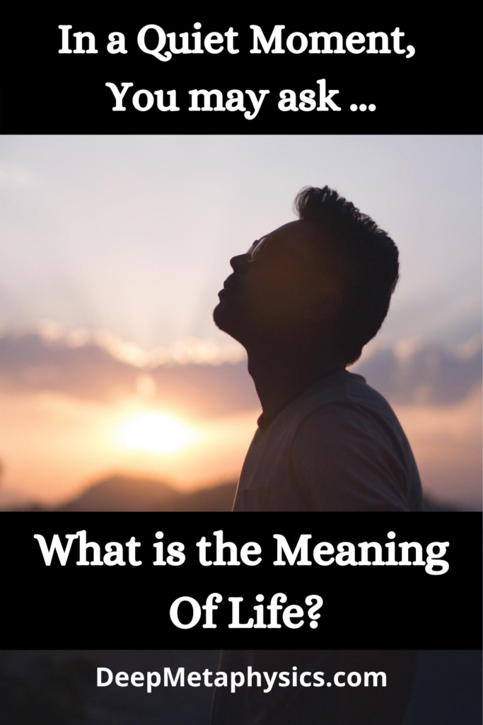 The Meaning of Life